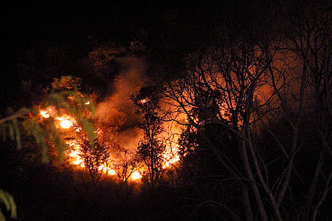 Forest fire in Uttarkashi
